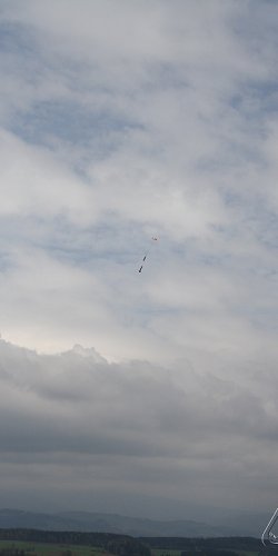 2013 Svojek Mirek Topinka